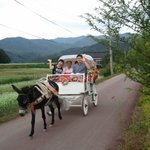 결혼5년차의 시댁적응기추억