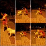 ★사진 有) 아바타가 말아먹은 내훈남★