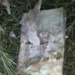 <b>sbs</b>뿌리깊은나무 대본 발견!!