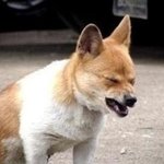 좋아하는 여자가 좋은사진 보냄49