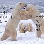꼭보길!!!!사진有★수시 합격자 발표!!!!!!!!!!!!!!!...