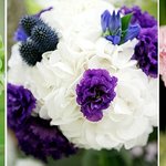 <b>부케</b>왤케비싸여?ㅠㅠ 이 꽃 종류좀 알려주세영