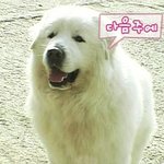 바람피는여친 이렇게 잡았습니다!!!!!!!!!!