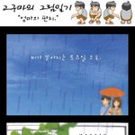 하루에한번 감동<b>짤방</b>8