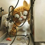 고양이를 <b>활용</b>한 귀여운 광고 <광고제수상작>입니다ㅋㅋ