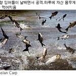 타임지가 선정한 악마의 동물 <b>top</b> 10