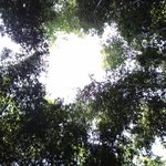 2박 3일 여행기(담양 순천 진주 통영)