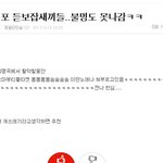★꽃을단?꽃을든?인슾?? ㅋㅋㅋㅡㅡ★