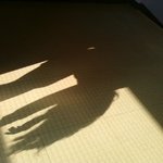 ★★★소름끼치는 그림자★★★ (사진 有)