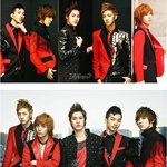 ★★★★다섯천사가저희에게다가왔습니다★★★★