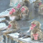 ★★★일본인에게 쫓겨난 <b>사연</b>ㅡㅡ★★★