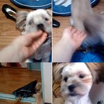 우리 웅이는 능력자에요. 그런데.................