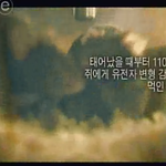 ★★★한번만봐주세요☆☆☆<b>gmo</b>수입국 한국, 안전할까요?☆☆☆