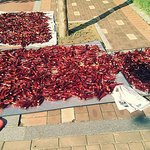 ★★★★★★매운맛의 최후(사진有)★★★★★