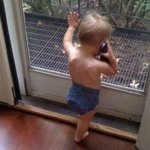 님들은 이런친구 있음?(+) 수정