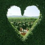 <b>oo</b> ~ 되는 그림