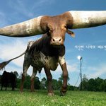 ★★★신기한 동물,곤충1탄(약간혐오)★★★