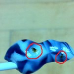 ★☆사진有)) 사탕(롤ㄹㅍ)에서 벌레가 나왔어요!!★☆