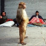 ★★[사진有]서울흔남들 외모순위 좀 매겨주세요!!★★