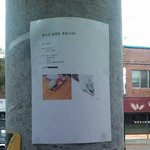 ★★★★사진有)집나간<b>토리</b>를찾습니다!!★★★★