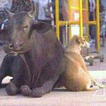 열 오빠 하나도 부럽지 않은 남동생이야기♥