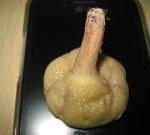 성폭행범들 <b>xx</b>.최초공개!!