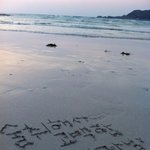 14. 술취해서 고백한 우리 사장님.