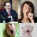 사진有))))))) 점심먹고 <b>나른</b>한 오후 피곤하신분 필독!!!