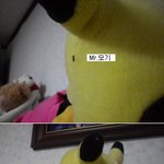 사진 有))피카츄 피 빨아먹는 모기ㅋㅋㅋ