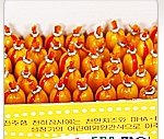 ★★소세지 빨간줄 따라할려다가..  ★★