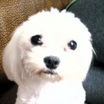 ♥♥♥♥♥개판♥♥♥♥♥  동생과 나를 애타게 하는 <b>아가</b> 2명
