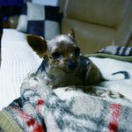 소백산 엄마를 부탁해