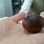 ★★제친구밤보실래요?★★