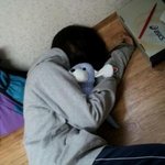 사진有★☆자는 사람 낚이게 하기 ㅋ ★☆