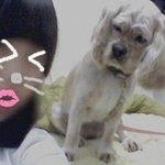 <b>님</b>들 셀카 찍을<b>때</b> 조심하세요..ㄷㄷ소름