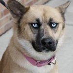 리얼한 회사 직급별 표정 총 모음(<b>번외</b> 포함)