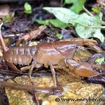 ★★사소한 일상이야기★★