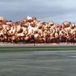 ★지옥의 <b>불바다</b>를 만드는 폭탄★