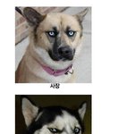 회사 <b>직급</b>별 표정