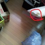 ★인증有★ 28살 우리오빠의 만행ㅋㅋㅋㅋ + 추가