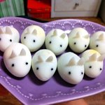 ★★★(수정+사진有)약속은지키라고있는거죠?★★★