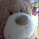 ★★★★(사진有)완전 귀여운? ㅋㅋㅋ 제 룸메이트 친구를 소개합...