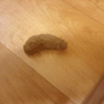 ★★★휴<b>지심</b>으로응가만들어봤음ㅋㅋㅋㅋㅋㅋㅋㅋ★★★