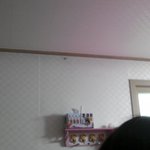 (사진有)곱등이와 한판