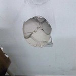 (사진有) 반수생, 분노의 불꽃킥!!!