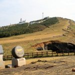 [사진有] 25女의 나홀로 제주도 <b>유랑</b>기 - 2 -