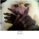 일본..<b>속상</b>하네요