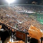 안녕하세요 19살 <b>롯데</b>자이언츠팬입니다. 꼭읽어주세요^^