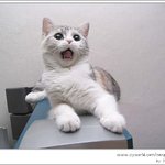 보자마자 아니 첫눈에 반해버렷습니다.