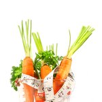 세계의 다이어트를 한눈에